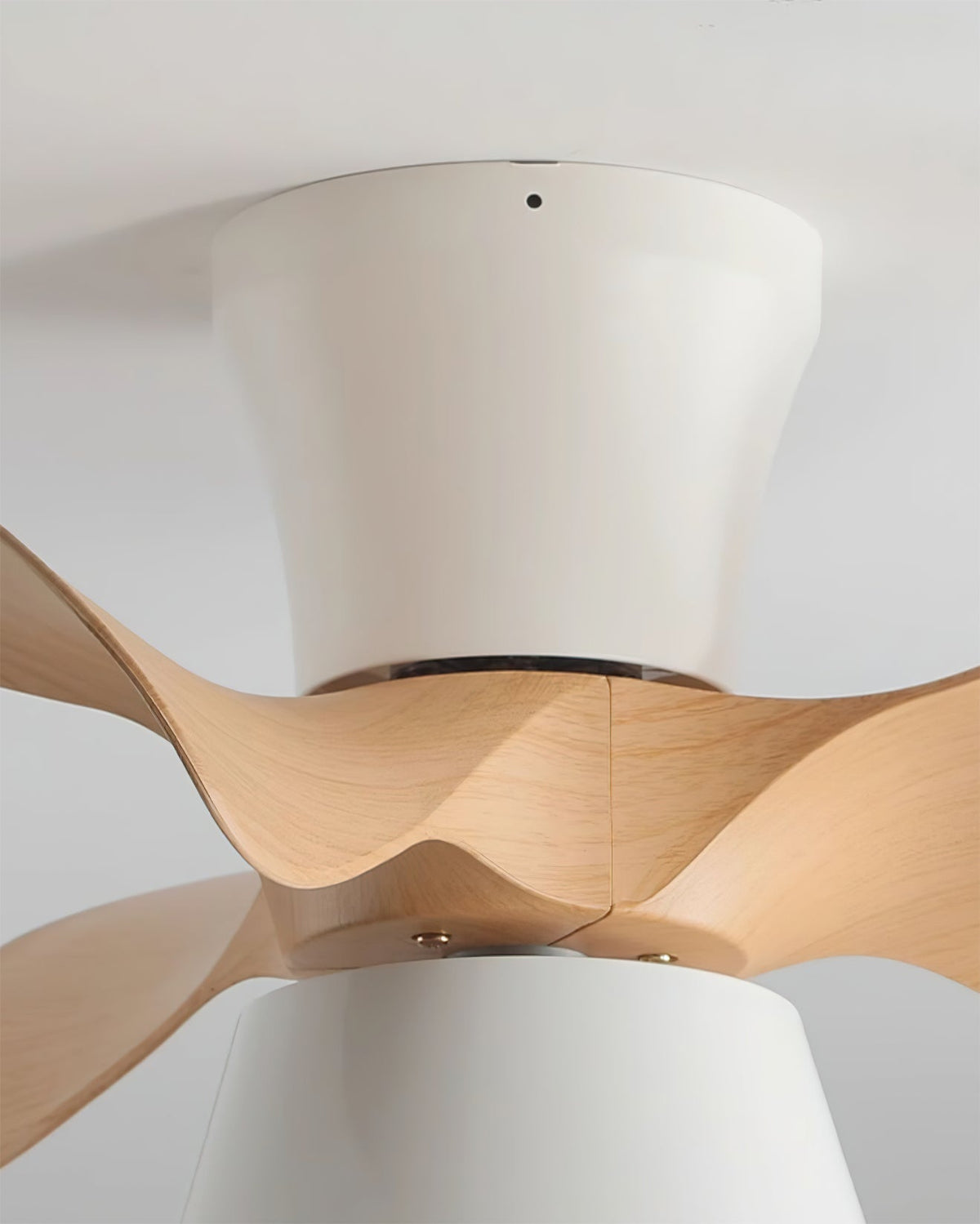 Fetcoi Ceiling Fan Light – detail 7