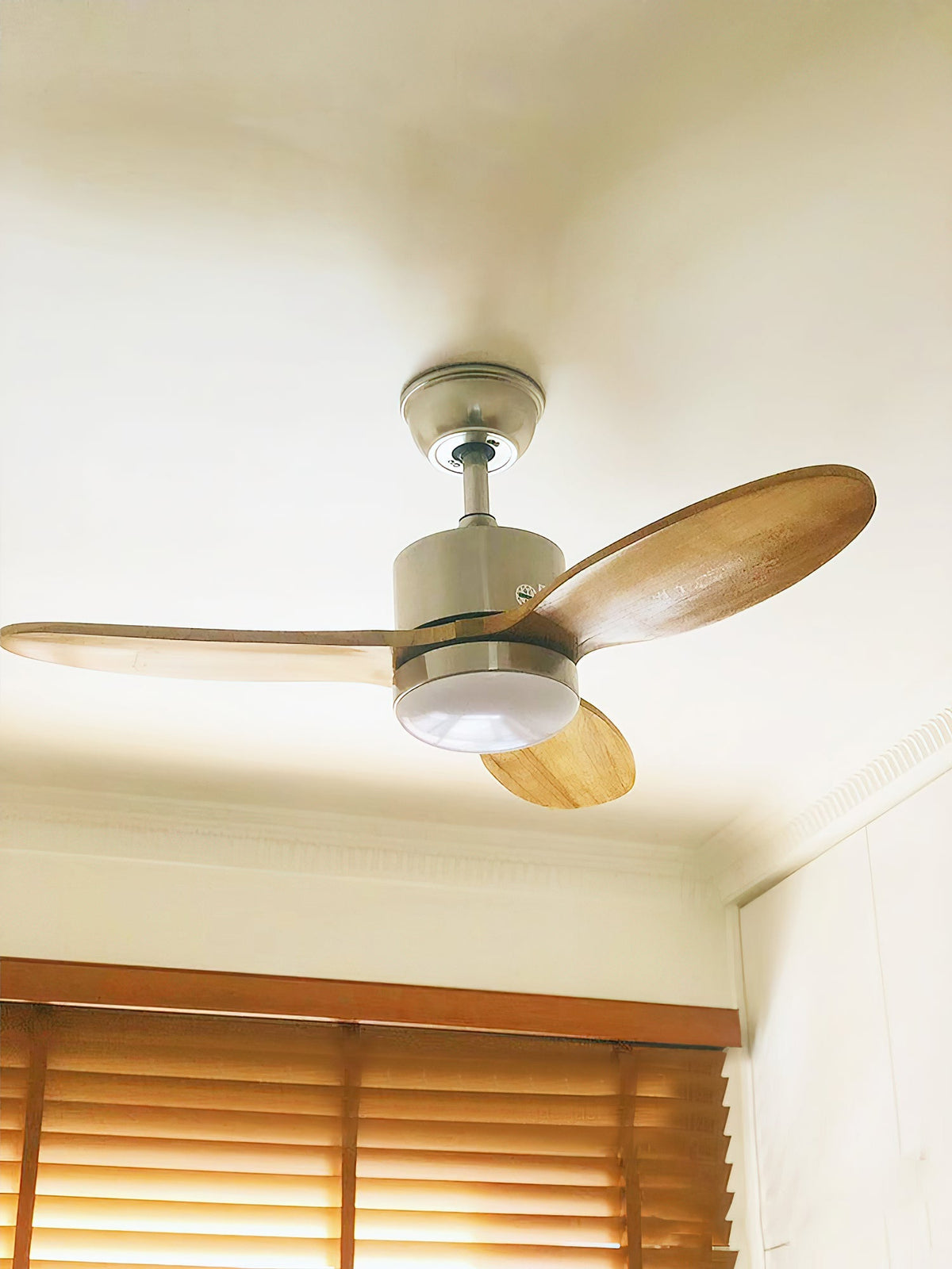 Calisse 42″ Ceiling Fan Light – detail 2