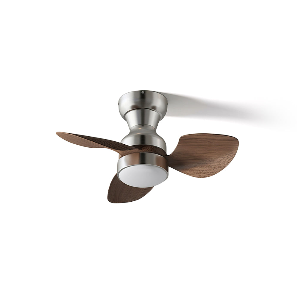 Haiku Ceiling Fan Light